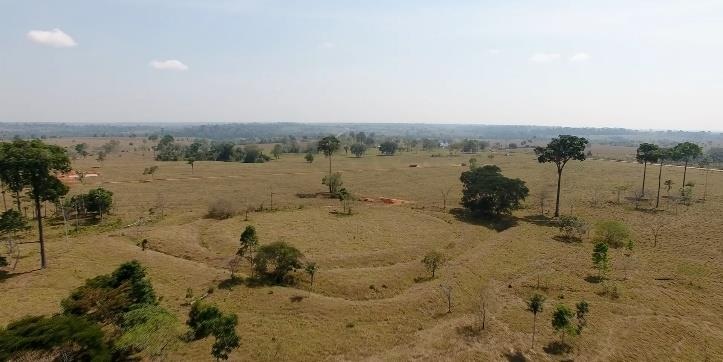 Image from the film Geoglifos en la Amazonía